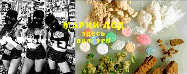 трава Арсеньев