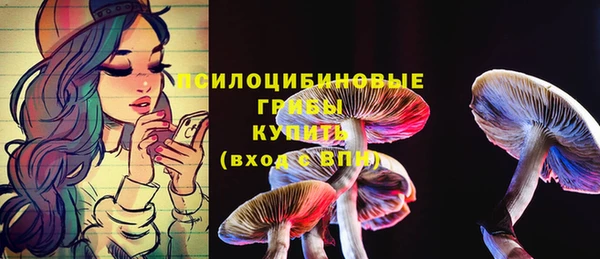 apvp Пересвет