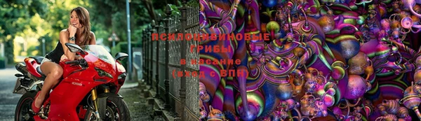 трава Арсеньев