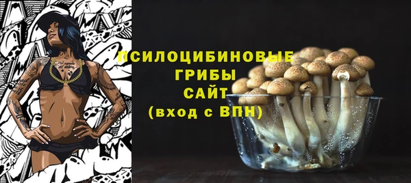 трава Арсеньев