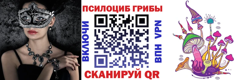 Псилоцибиновые грибы Cubensis  Багратионовск 